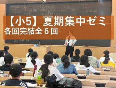 希少稀な 洛ゼミ 【洛ゼミ】「洛北・西京附中」入試の専門塾 - その他